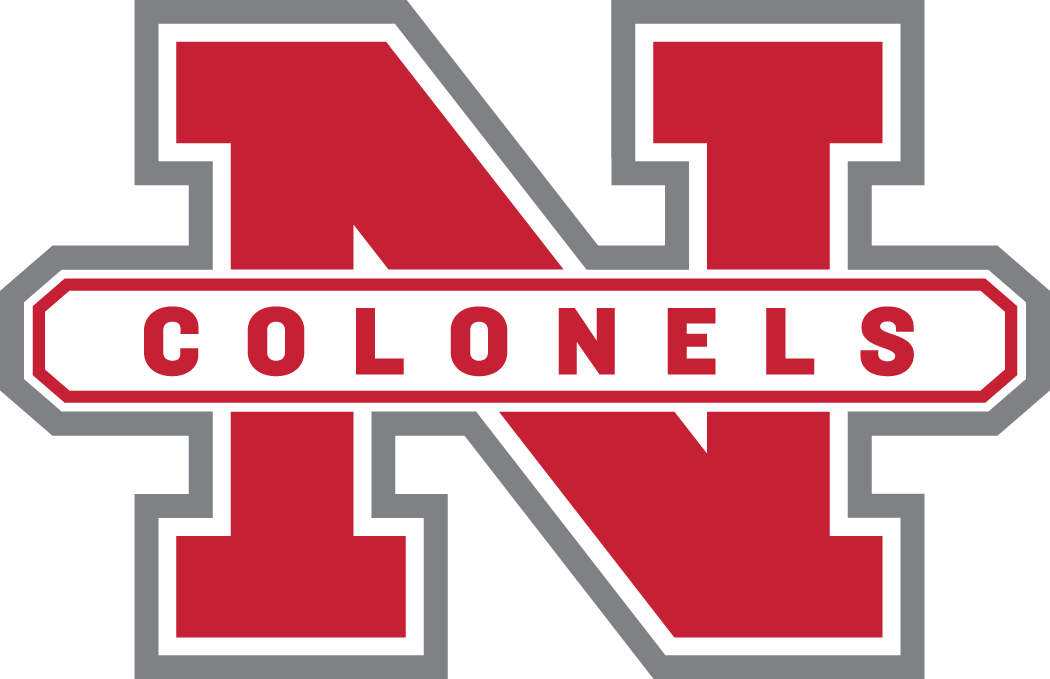 Nicholls State Colonels 2005-2008 Secondary Logo iron on transfers for T-shirts